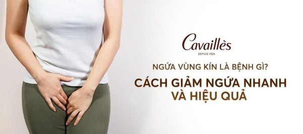 Ngứa vùng kín là bệnh gì? Cách giảm ngứa nhanh và hiệu quả