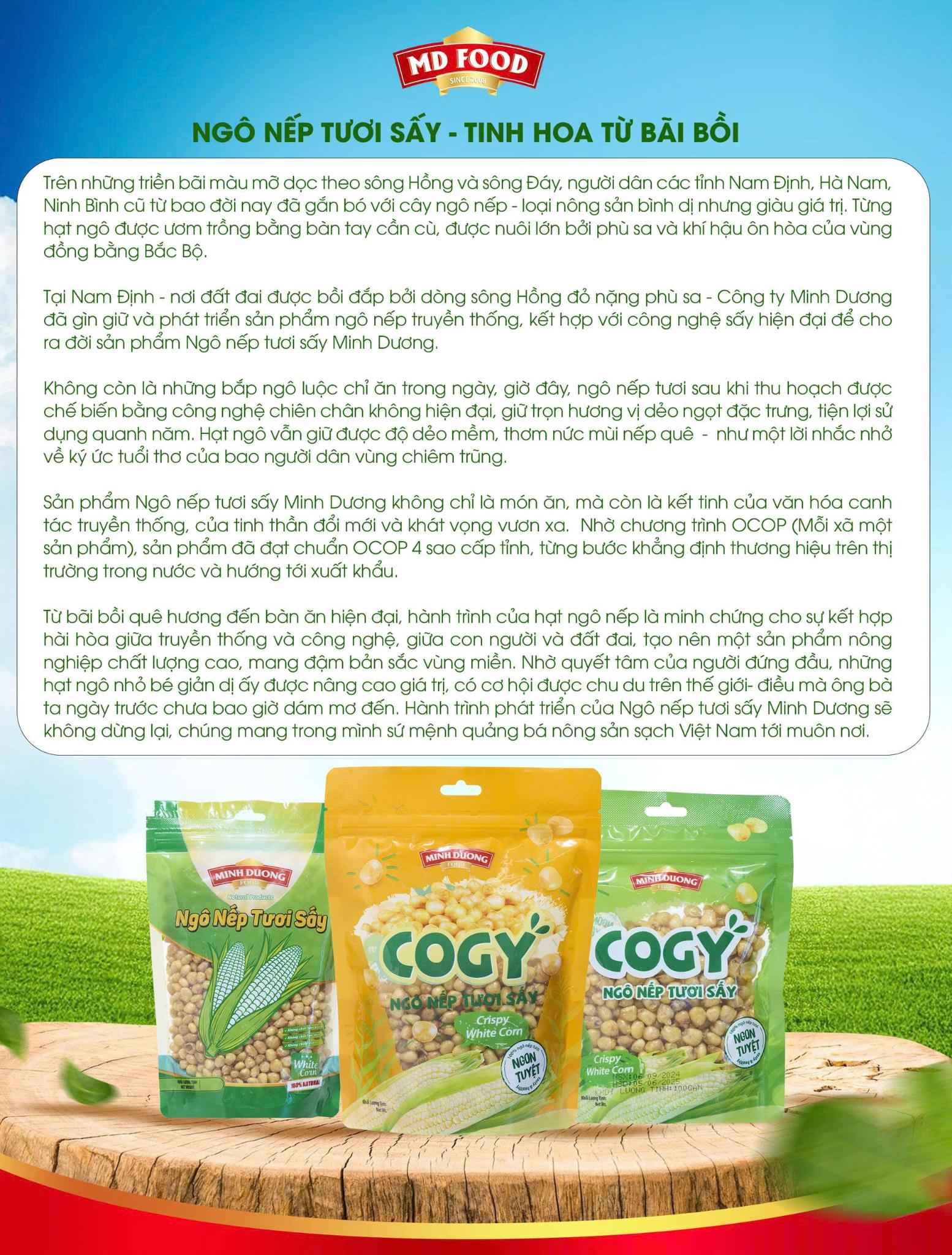 Thương nhớ hạt nếp quê: Giòn tan – béo nhẹ – chuẩn trend ăn vặt