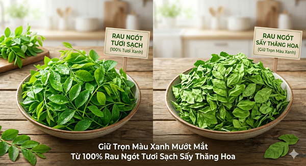 Rau ngót tươi sạch sấy thăng hoa