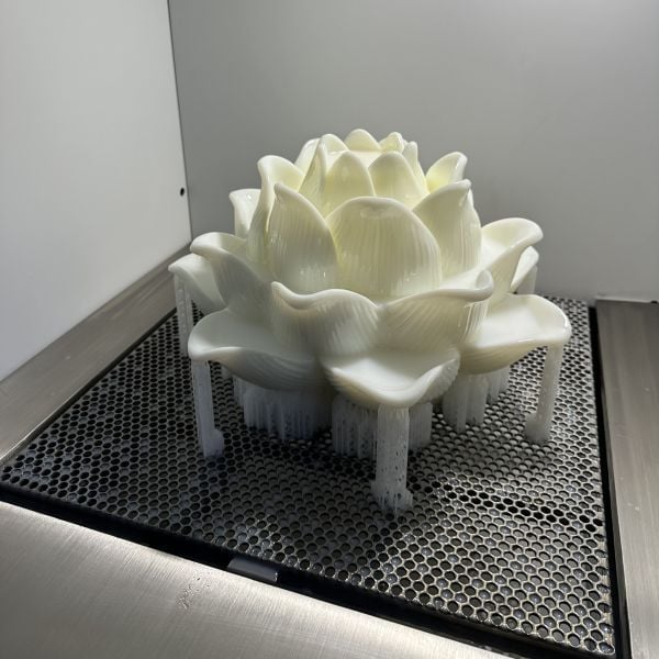 In 3D Resin In 3D Resin SLA vs LCD — So Sánh Laser 355nm vs MSLA 405nm