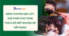 BÁNH CHƯNG GẠO LỨT: GIẢI PHÁP CHO TEAM THÍCH ĐỒ NẾP NHƯNG SỢ ĐẦY BỤNG