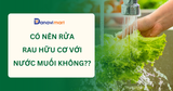 CÓ NÊN RỬA RAU HỮU CƠ BẰNG NƯỚC MUỐI KHÔNG? SAI LẦM NHIỀU NGƯỜI MẮC PHẢI