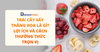 TRÁI CÂY SẤY THĂNG HOA LÀ GÌ? LỢI ÍCH VÀ CÁCH THƯỞNG THỨC TRỌN VỊ