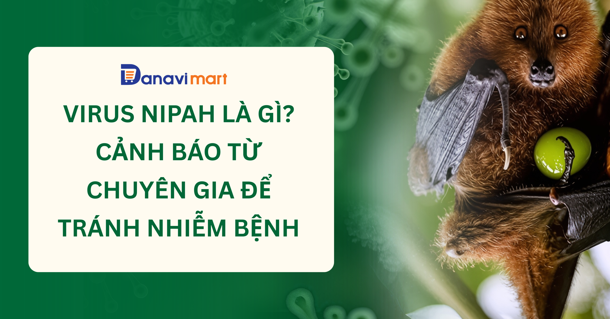VIRUS NIPAH LÀ GÌ? CẢNH BÁO TỪ CHUYÊN GIA ĐỂ TRÁNH NHIỄM BỆNH