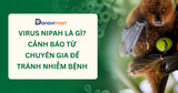 VIRUS NIPAH LÀ GÌ? CẢNH BÁO TỪ CHUYÊN GIA ĐỂ TRÁNH NHIỄM BỆNH