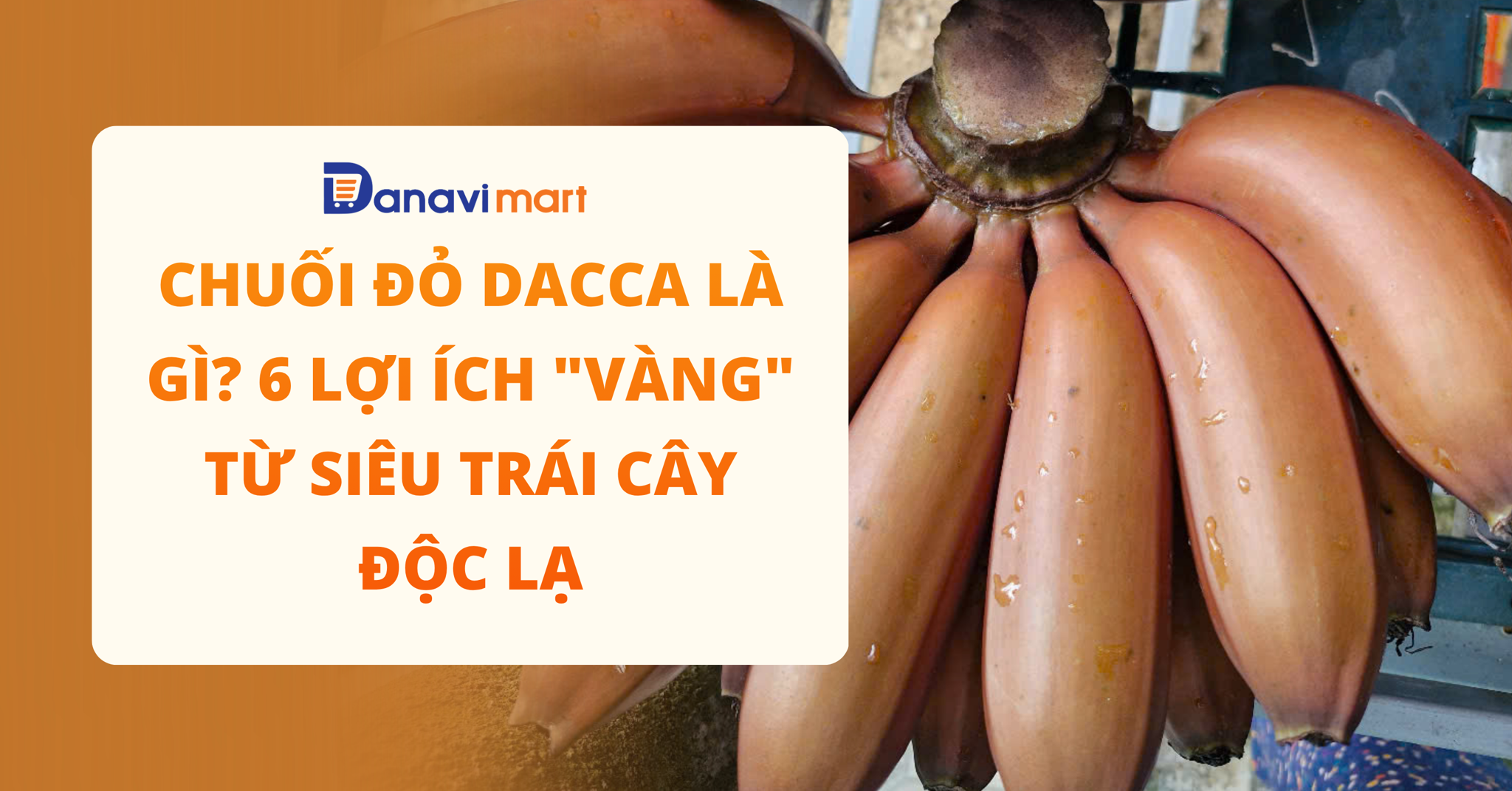 CHUỐI ĐỎ DACCA LÀ GÌ? 6 LỢI ÍCH 