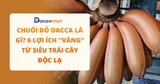 CHUỐI ĐỎ DACCA LÀ GÌ? 6 LỢI ÍCH 