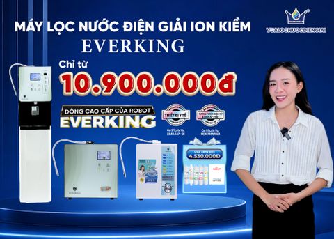 Bạn nghĩ Máy lọc nước điện giải ion kiềm chuẩn quốc tế luôn có giá vài chục triệu đồng?