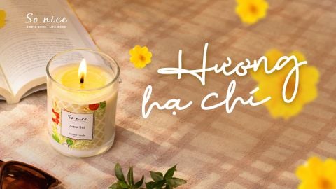CTKM Tháng 6/2026: Hương Hạ Chí