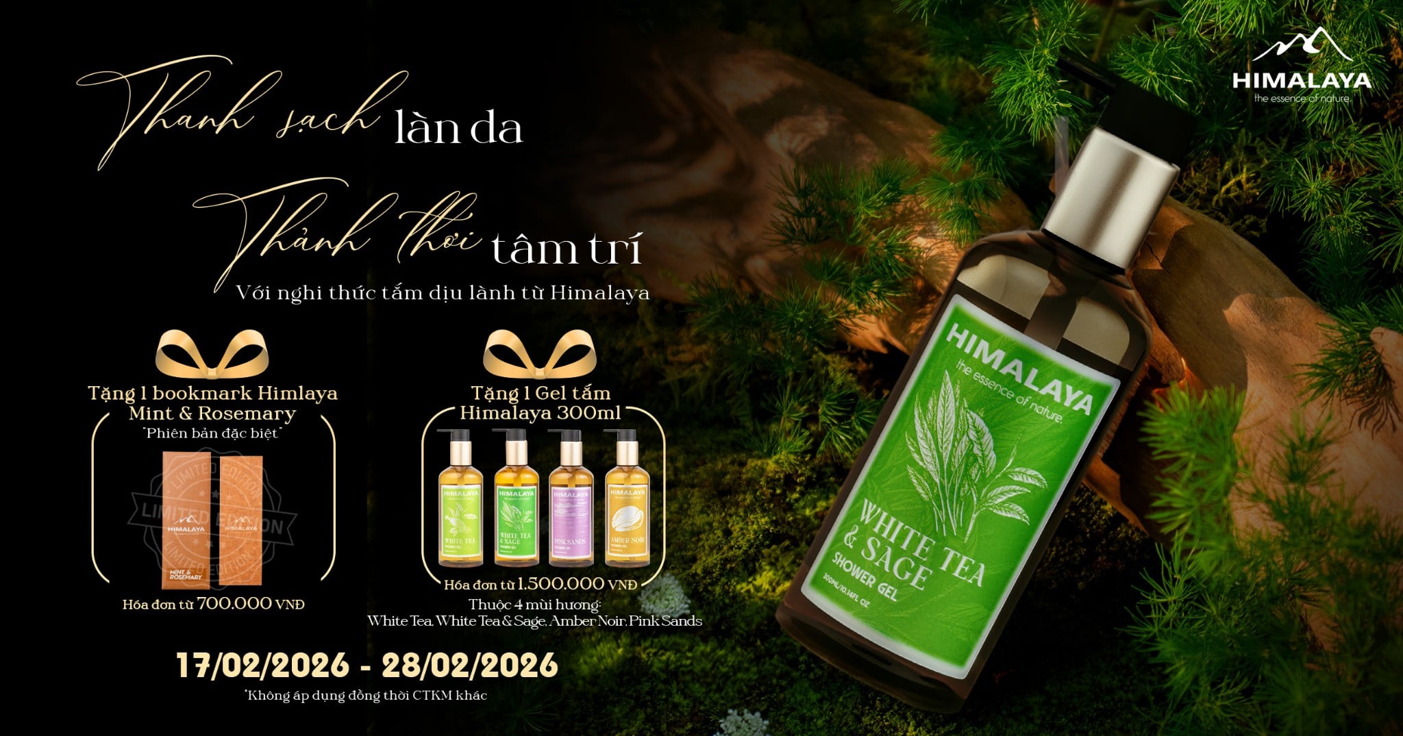 Thanh sạch làn da, thảnh thơi tâm trí – Khi gel tắm trở thành nghi thức chăm sóc tinh thần mỗi ngày