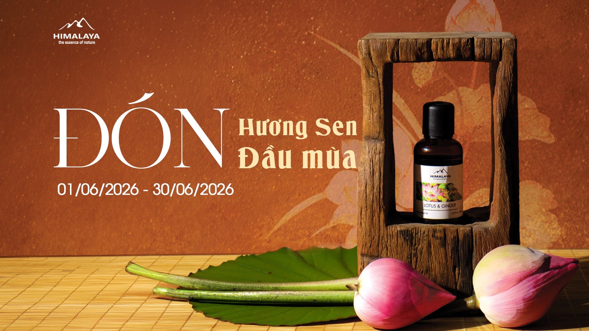 CTKM Tháng 6/2026: Đón Hương Sen Đầu Mùa