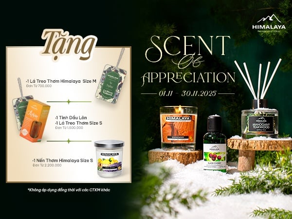 Scent of Appreciation – Khi hương thơm trở thành nghi thức biết ơn