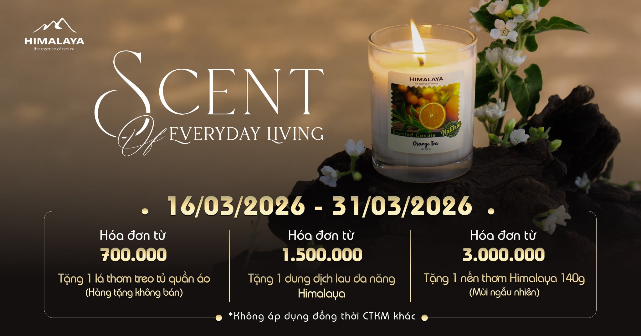 CTKM tháng 3: Scent of Everyday Living - Hương thơm trong từng nhịp sống