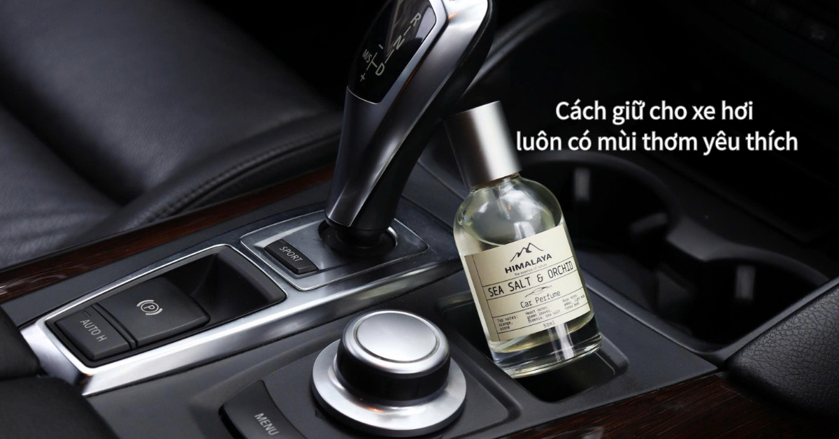 Sáp thơm ô tô, lá thơm treo xe hay nước hoa ô tô? Loại nào tốt?