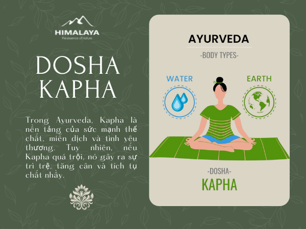 Kapha Dosha: Hiểu đúng về năng lượng Đất và Nước