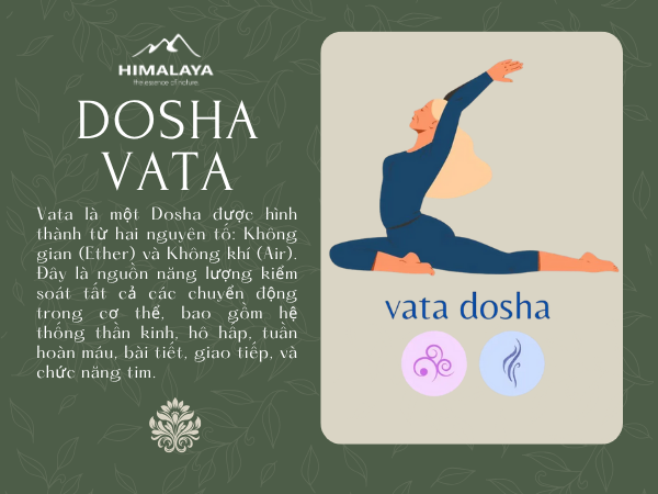 Dosha Vata Là Gì? Dấu Hiệu Nhận Biết & Cách Cân Bằng Theo Ayurveda