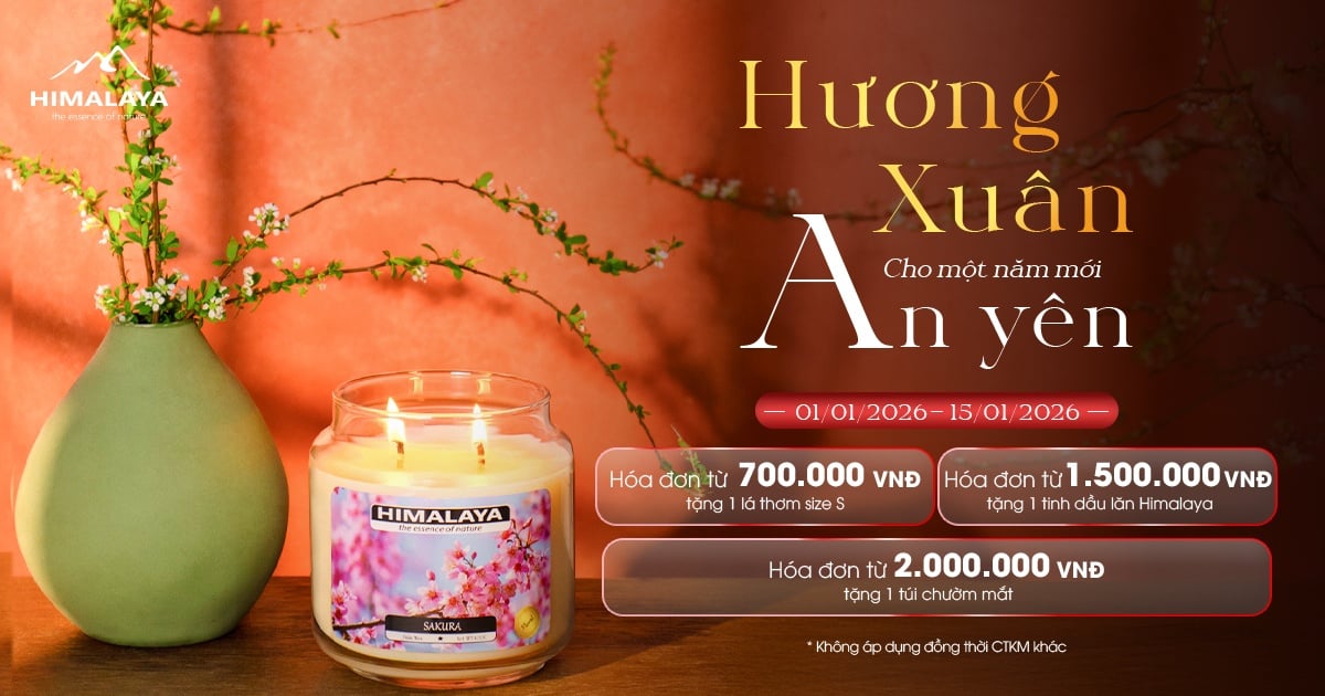 HƯƠNG XUÂN – HƯƠNG CHO MỘT NĂM MỚI AN YÊN