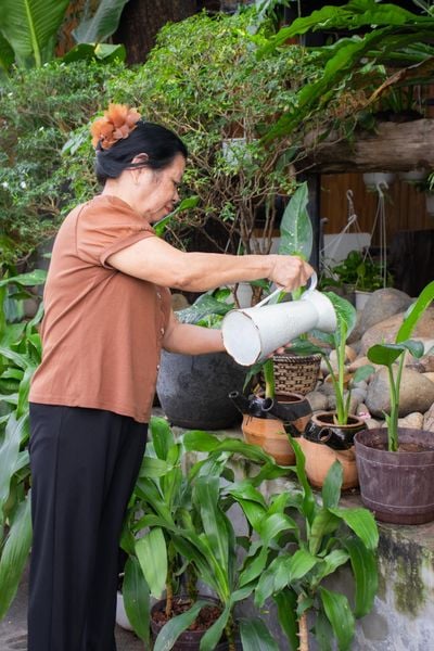 vu lan himalaya hiện diện trong từng sự chăm sóc