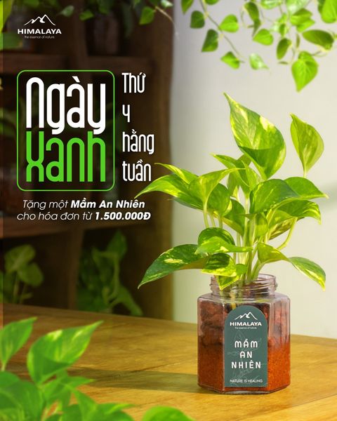 ngày xanh thứ 4 hằng tuần