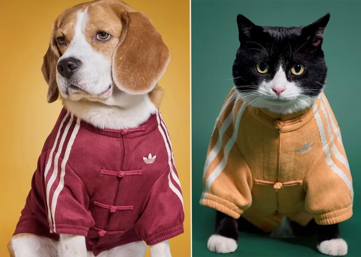 adidas Ra Mắt Bộ Sưu Tập Pets Đón Tết Nguyên Đán