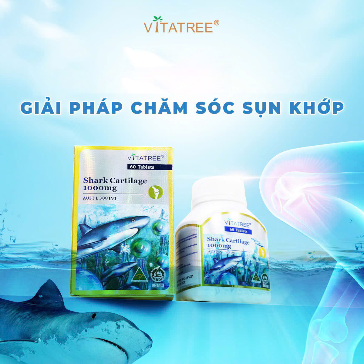 Giải pháp chăm sóc sụn khớp toàn diện