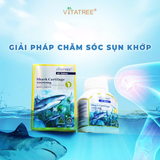 Giải pháp chăm sóc sụn khớp toàn diện