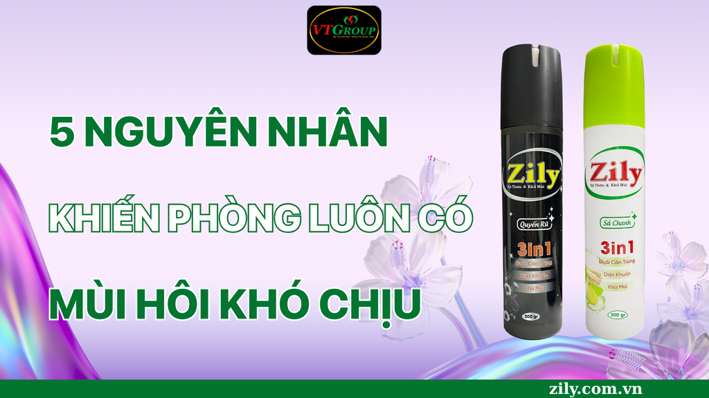 5 Nguyên Nhân Khiến Phòng Luôn Có Mùi Hôi Khó Chịu