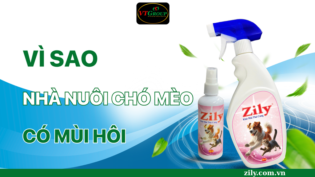Vì Sao Nhà Nuôi Chó Mèo Có Mùi Hôi?