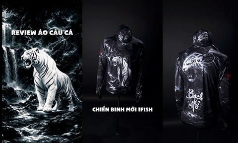 CLIP REVIEW ÁO CÂU CÁ BẠCH HỔ