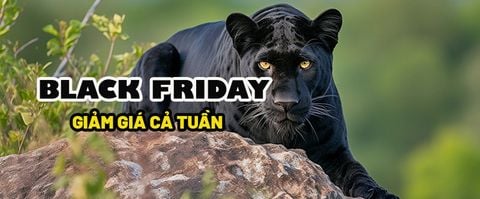 BLACK FRIDAY SALES 2025