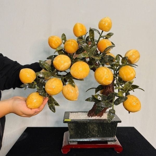 Cây Đào Ngọc Hoàng Long 18 Quả 35cm