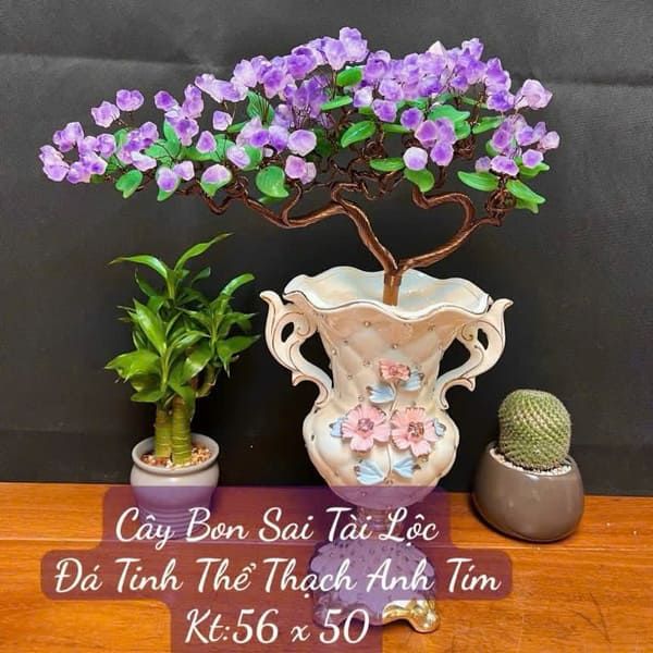 Cây Tài Lộc Mầm Tinh Thể Thạch Anh Tím