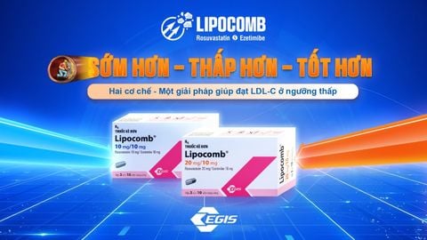 Lipocomb là gì? Công dụng, thành phần và cơ chế tác động