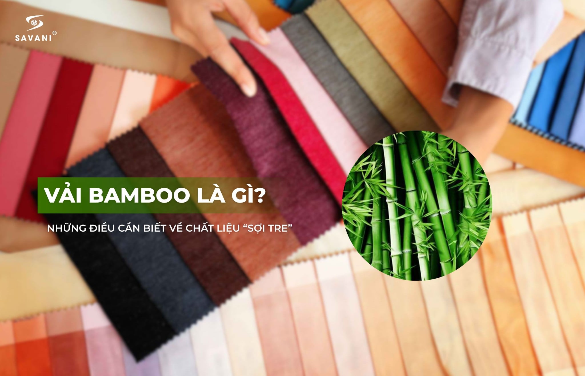 VẢI BAMBOO LÀ GÌ? NHỮNG ĐIỀU CẦN BIẾT VỀ CHẤT LIỆU “SỢI TRE”