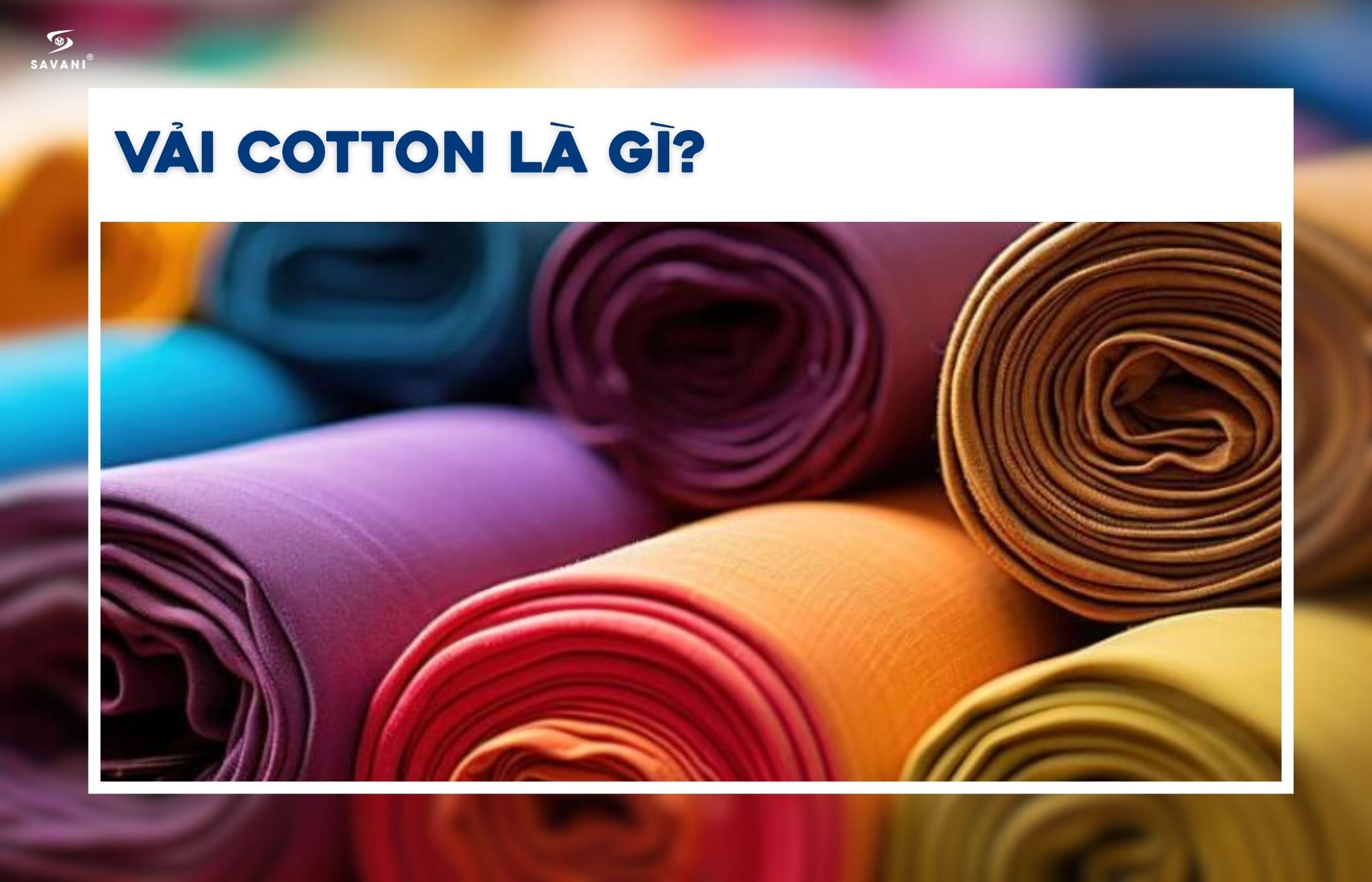 VẢI COTTON LÀ GÌ? NHỮNG ĐIỀU CẦN BIẾT VỀ VẢI COTTON TRONG NGÀNH THỜI TRANG