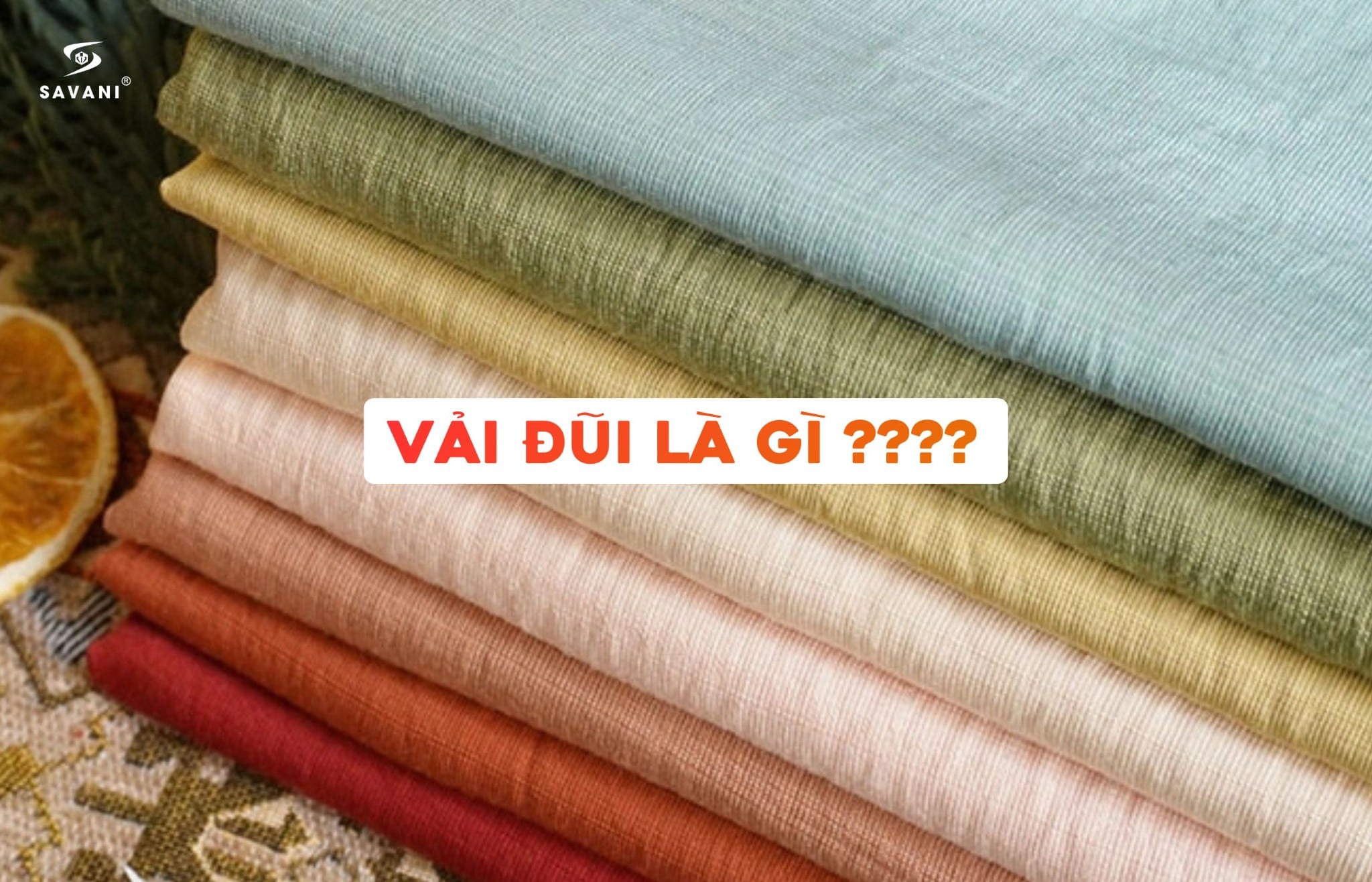 VẢI ĐŨI LÀ GÌ? TOP 6 ĐIỀU NÊN BIẾT VỀ VẢI ĐŨI