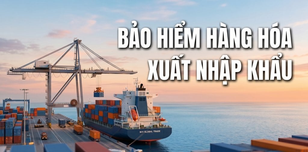 Bảo hiểm hàng hóa xuất nhập khẩu là gì? Quy trình bồi thường