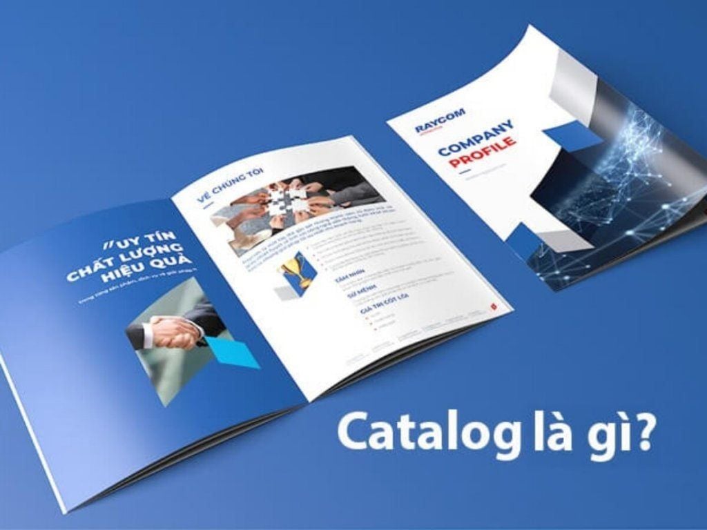 Catalogue là gì? Đặc điểm, cách thiết kế & vận chuyển