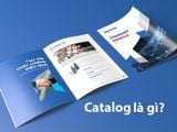 Catalogue là gì? Đặc điểm, cách thiết kế & vận chuyển