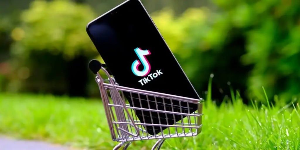 Cách kiểm tra đơn hàng TikTok Shop từ A - Z cho người mới
