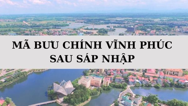 Mã bưu chính Vĩnh Phúc là gì? Danh sách mã ZIP Vĩnh Phúc sau sáp nhập