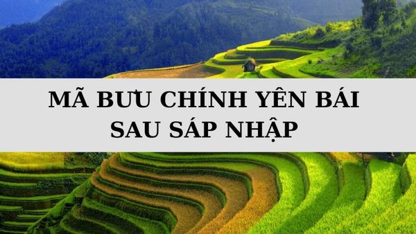 Mã ZIP Yên Bái là gì? Danh sách mã bưu chính Yên Bái sau sáp nhập