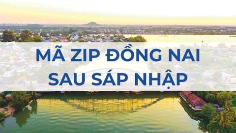 Mã ZIP Đồng Nai là gì? Danh sách mã bưu chính sau sáp nhập
