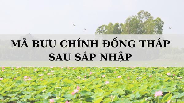 Mã bưu chính Đồng Tháp là gì? Danh sách mã ZIP Đồng Tháp sau sáp nhập