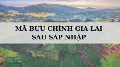 Mã ZIP Gia Lai là gì? Danh sách mã bưu chính Gia Lai sau sáp nhập