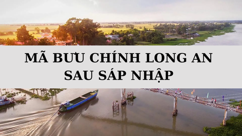 Mã ZIP Long An là gì? Danh sách mã bưu chính mới nhất 2025