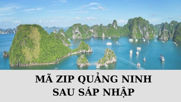 Mã ZIP Quảng Ninh là gì? Danh sách mã bưu chính Quảng Ninh mới nhất