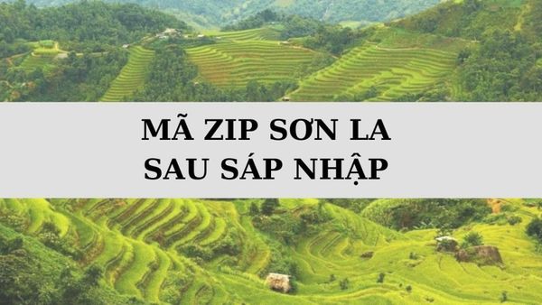 Mã ZIP Sơn La là gì? Danh sách mã bưu chính Sơn La sau sáp nhập