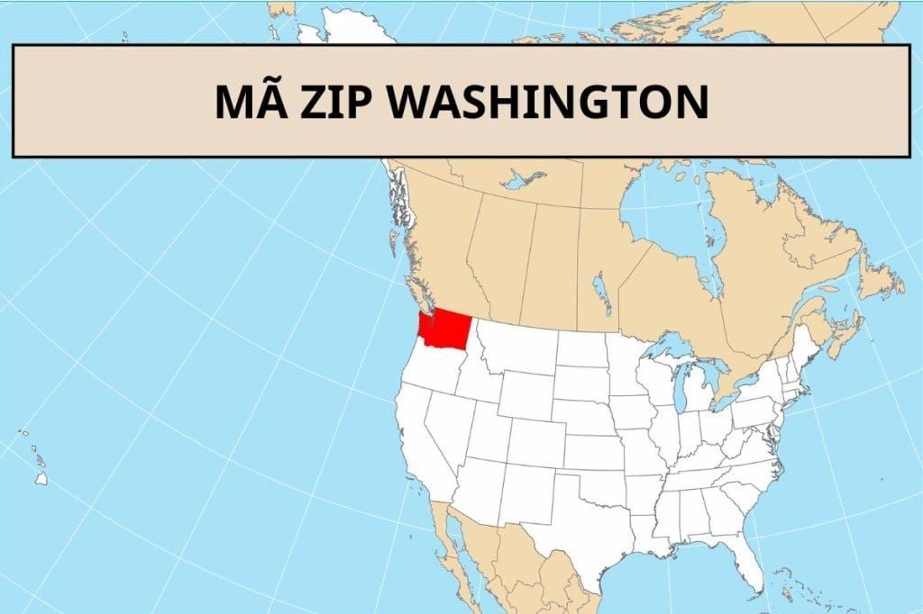 Mã ZIP Washington là gì? Cách tra cứu ZIP Code Washington