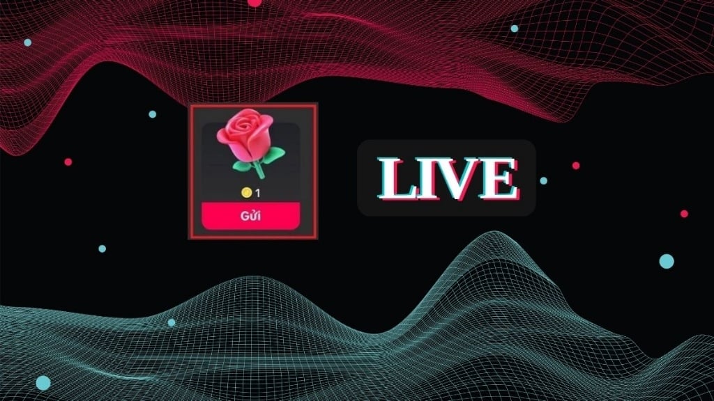 Quà tặng bông hồng ảo trên livestream TikTok là gì?